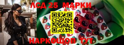 прущие грибы Кулебаки