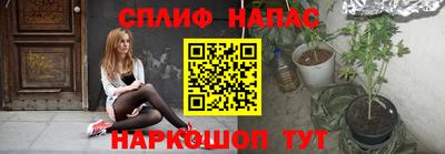 прущие грибы Кулебаки