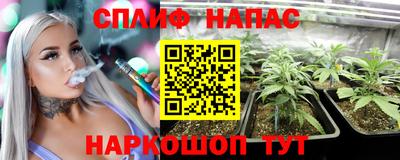 прущие грибы Кулебаки