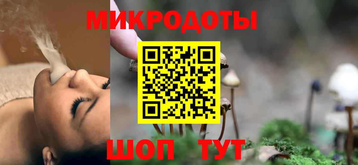 Псилоцибиновые грибы Psilocybe Кизляр